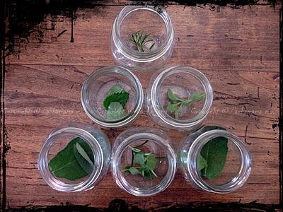 Marmellata di mele alle erbe aromatiche