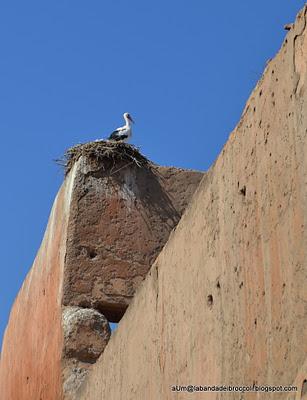 Relax o low cost? Marrakech