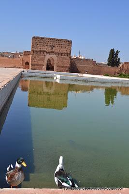 Relax o low cost? Marrakech