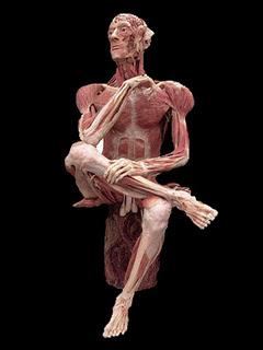 Body Worlds