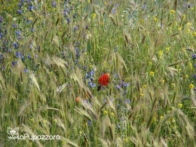 Garagnone, il Castello Invisibile!