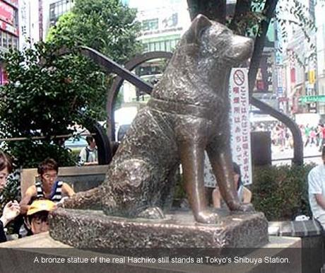 Nana e Hachiko Nana e Hachiko
