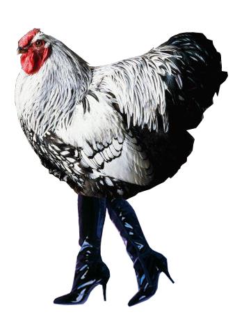 Perché le galline attraversano la strada??