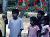 Alieno nella Foresta Amazzonica: Hoax?