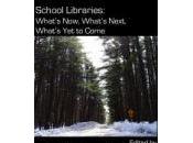 School Libraries: What’s Now, Next, Come (ebook gratis)