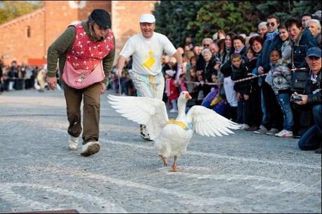 Il Palio dell'Oca di Cologno Monzese