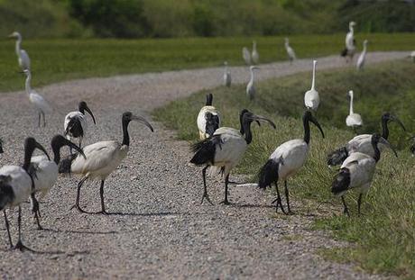 Un commento..approvato!..grazie…