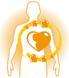 Omega 3: rimedio naturale nell’ipertensione. Ascolta il tuo cuore!