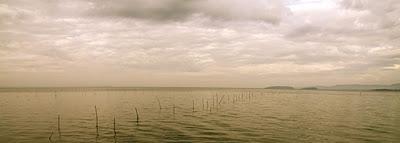 mattino sul lago Trasimeno