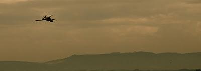 mattino sul lago Trasimeno