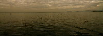 mattino sul lago Trasimeno