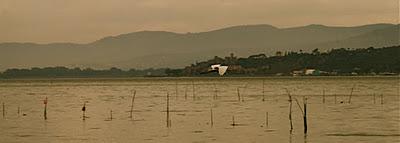 mattino sul lago Trasimeno