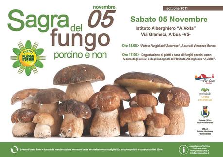 Arbus - Sagra del fungo Porcino e non