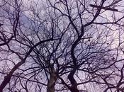 Roba gatti: gatti pesciatini.