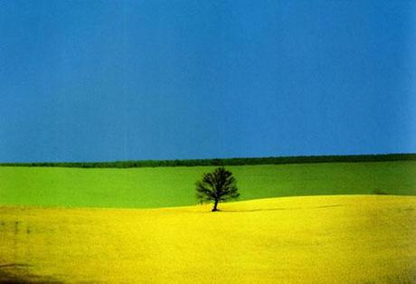 franco fontana