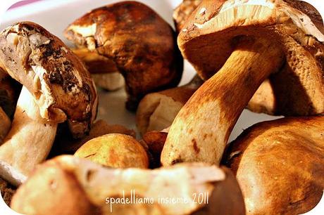 GNOCCHI DI ZUCCA E PATATE AI PORCINI