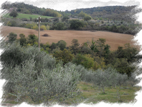 Autunno 2011 n°1