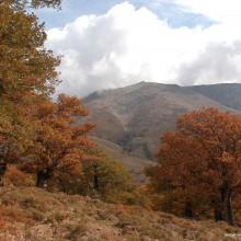 Dolce autunno in Sardegna. Percorsi alternativi