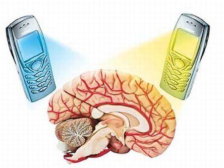 L'uso a lungo termine dei cellulari può causare tumori? A quanto pare, no