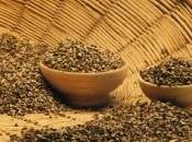Cereali: grano saraceno, segale avena