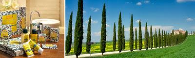 Idea Toscana - Prima Spremitura con Olio extravergine d'oliva Toscano IGP Biologico