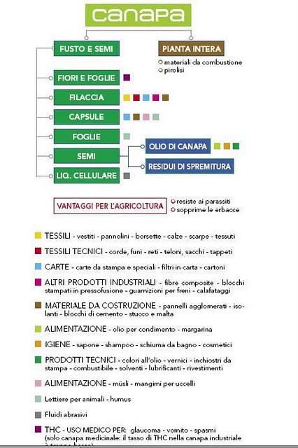 VERDESATIVA -COSMESI NATURALE CERTIFICATA ALLA CANAPA SATIVA