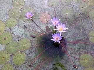 4 giugno 2011....50 anni fa.