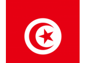 Tunisia: vince Ennahdha. Primavera araba islamismo politica?