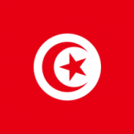 Tunisia: vince Ennahdha. Primavera araba islamismo e politica?
