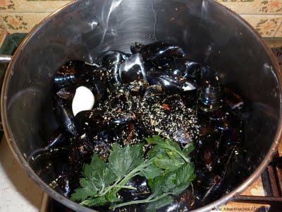 SOUTE' DI COZZE