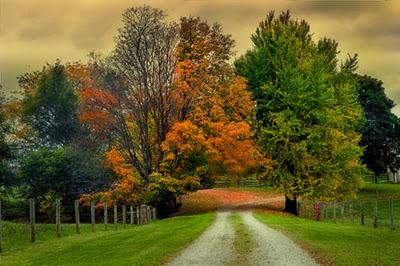 L'Autunno e la Pioggia