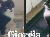 Roba gatti: Giorgia