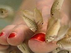 Fish Pedicure