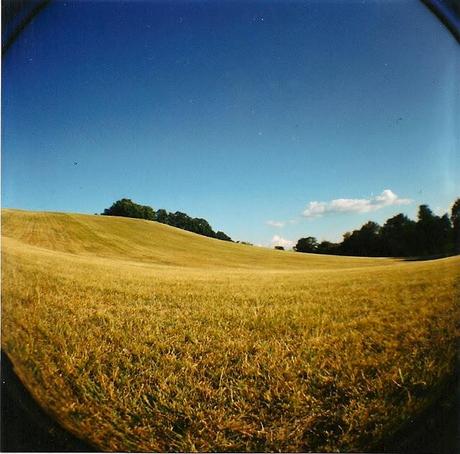 Lomography