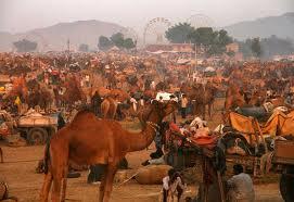 La Fiera di Pushar - Festività indiana - Rajastan