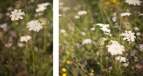 Dancing in the grass: my green skirt of tulle