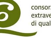 Olio oliva: aumento l’export paesi produttori.