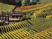 Monferrato patrimonio dell’Unesco? Ultimo week presentazioni