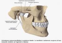 Il Chiropratico & il Dentista. Parte 4