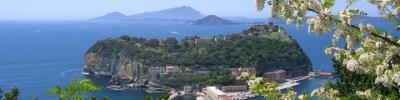 Libera Pluriversità Di Napoli 4° anno