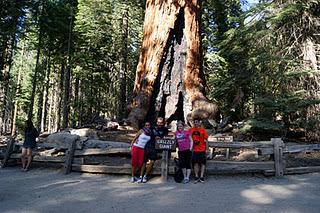 Usa 2011 - Yosemite national Park