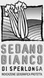 sedano bianco di sperlonga igp