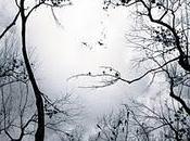 Premonition