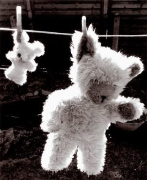 Come le foglie sugli alberi d'autunno