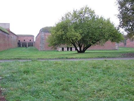 Campo di lavoro di Teresín