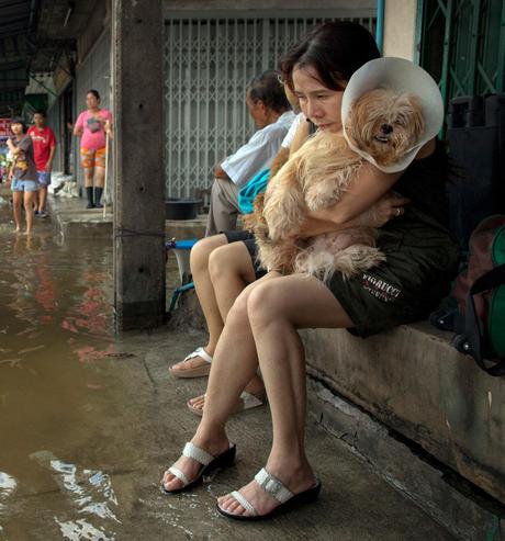 Alluvione Thailandia e Bangkok - Immagini Foto Artistiche