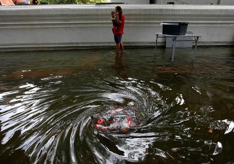 Alluvione Thailandia e Bangkok - Immagini Foto Artistiche