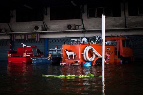 Alluvione Thailandia e Bangkok - Immagini Foto Artistiche Alluvione Thailandia e Bangkok - Immagini Foto Artistiche