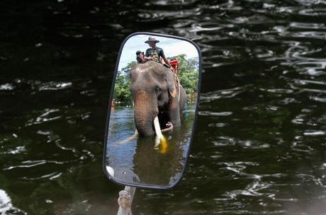 Alluvione Thailandia e Bangkok - Immagini Foto Artistiche Alluvione Thailandia e Bangkok - Immagini Foto Artistiche