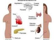 Simulazione test endocrinologia